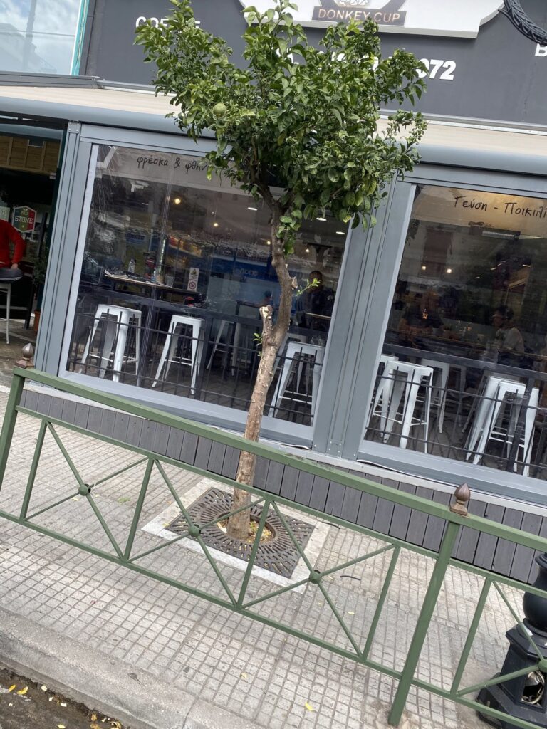 Διάφανα ρολά και γυάλινο κλείσιμο σε καφέ, Pergotenta